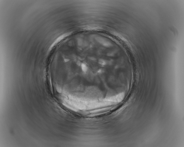 X0000113581306200910161531