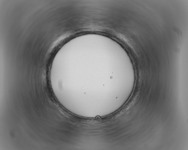 X0000113581307200910161531