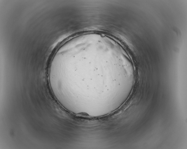 X0000113581308200910161531