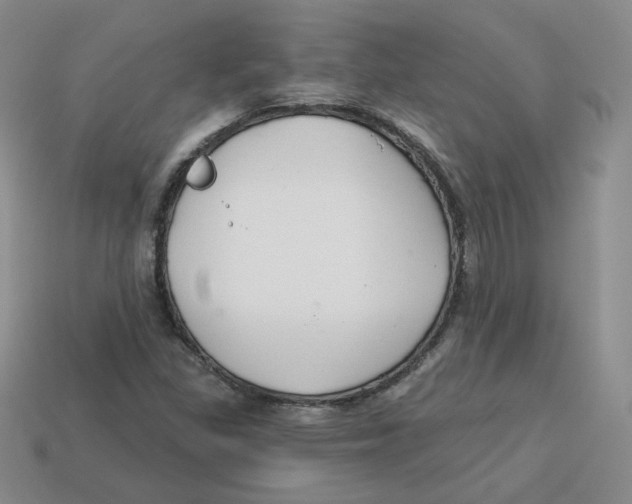 X0000113581309200910161531