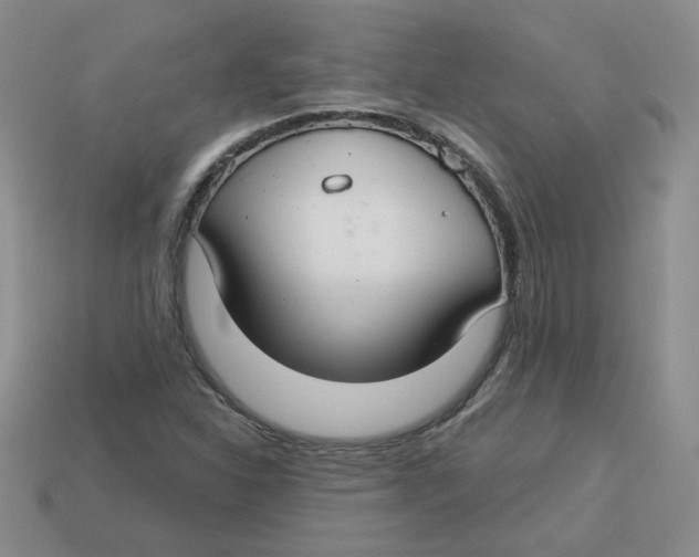 X0000113581310200910161531