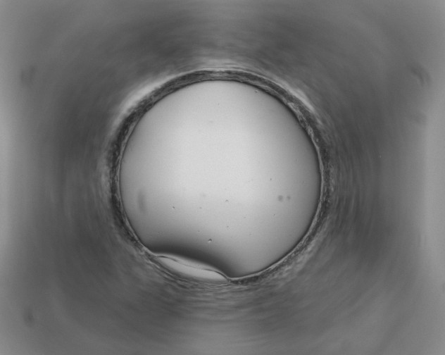 X0000113581311200910161531