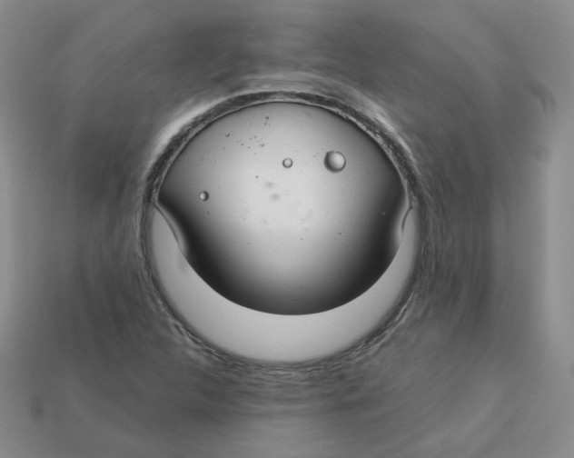 X0000113581312200910161531