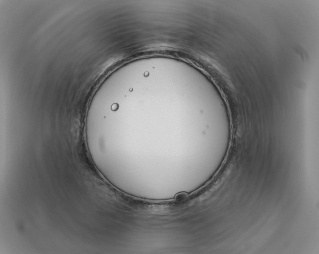 X0000113581313200910161531