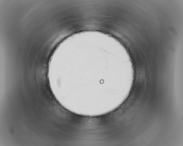 X0000113581314200910161531