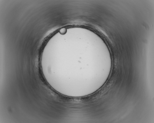 X0000113581315200910161531