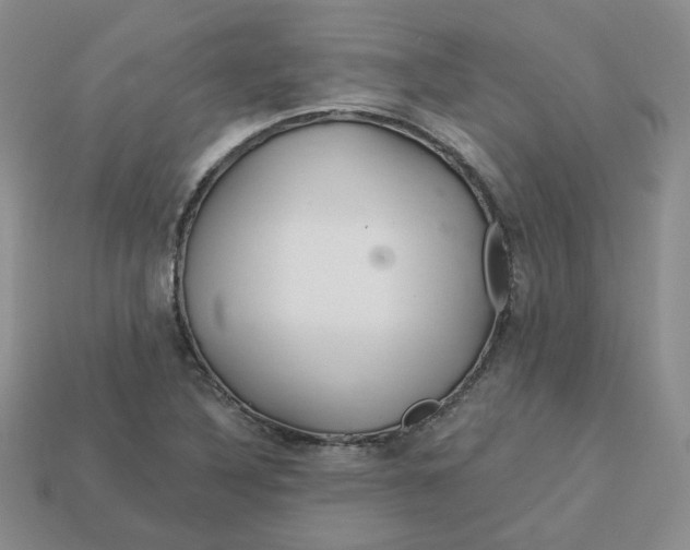 X0000113581316200910161531