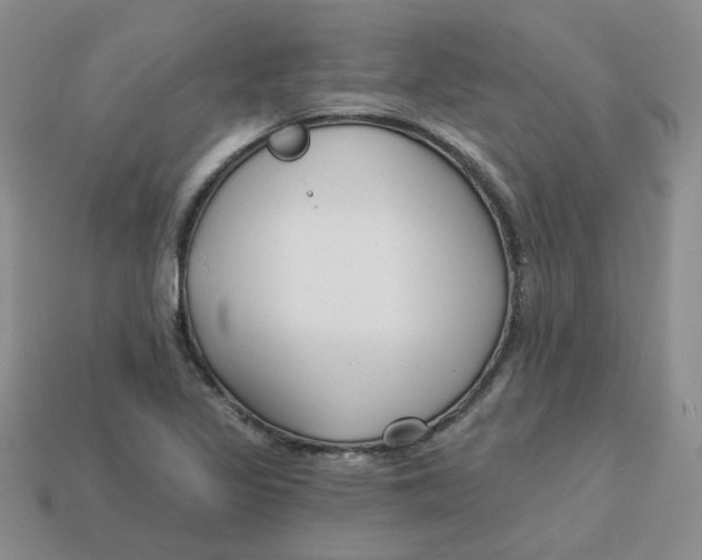 X0000113581317200910161531