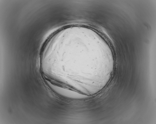 X0000113581320200910161532