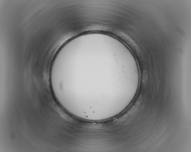 X0000113581321200910161532