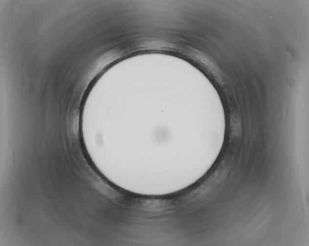 X0000113581322200910161532