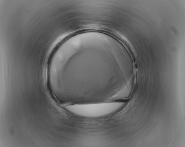 X0000113581323200910161532