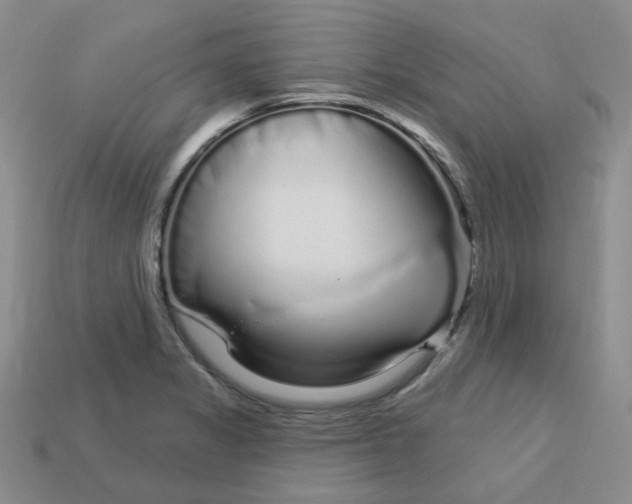 X0000113581325200910161532