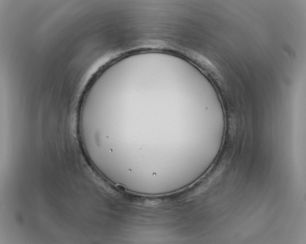 X0000113581326200910161532