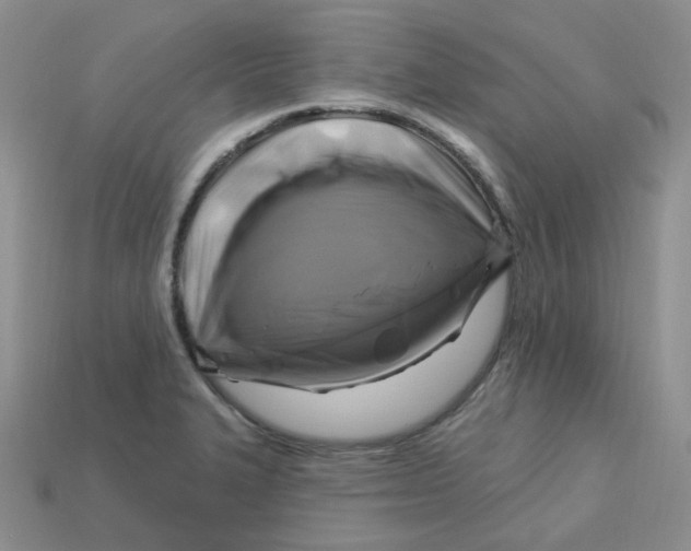 X0000113581327200910161532