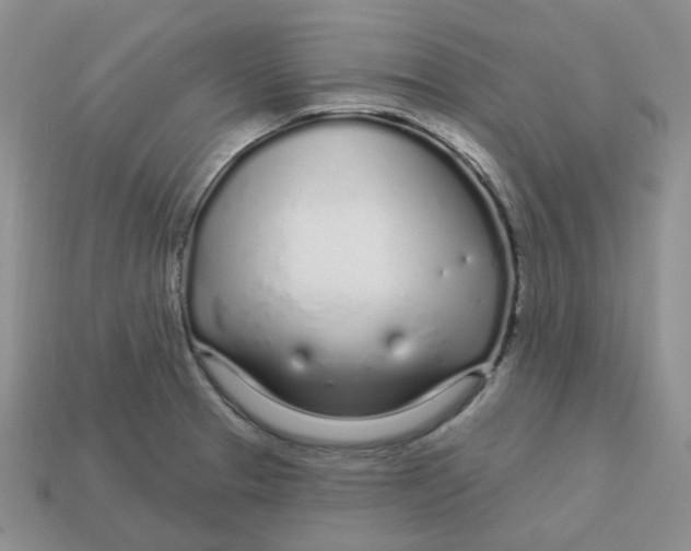 X0000113581329200910161532