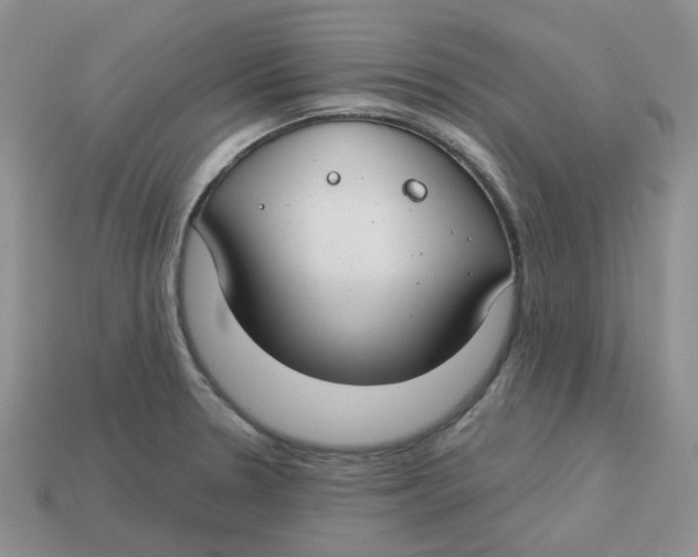 X0000113581330200910161532