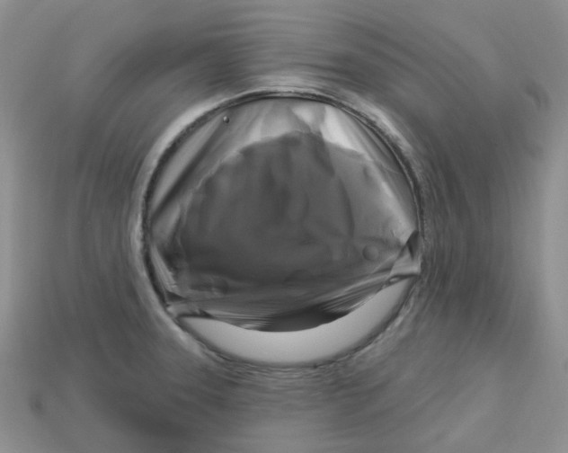 X0000113581331200910161532