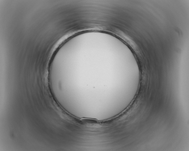 X0000113581332200910161532