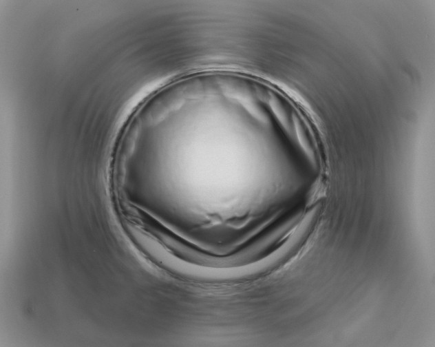 X0000113581333200910161532