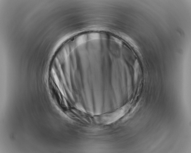 X0000113581334200910161532