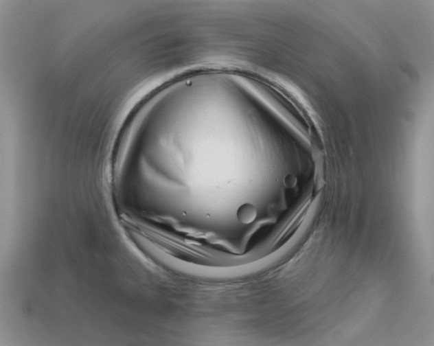 X0000113581335200910161532