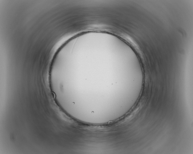 X0000113581336200910161532