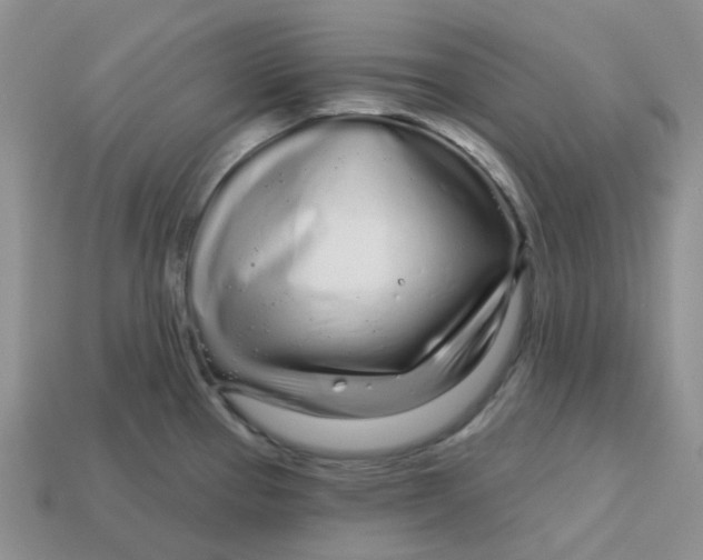 X0000113581337200910161532