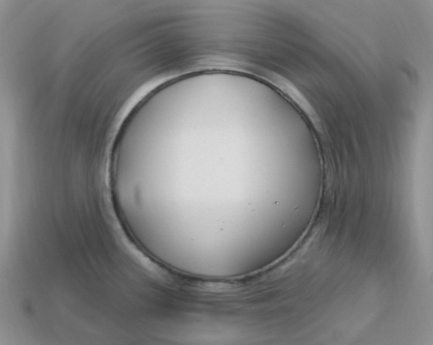 X0000113581339200910161532