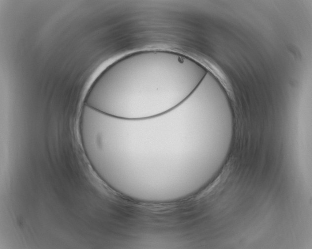 X0000113581340200910161532