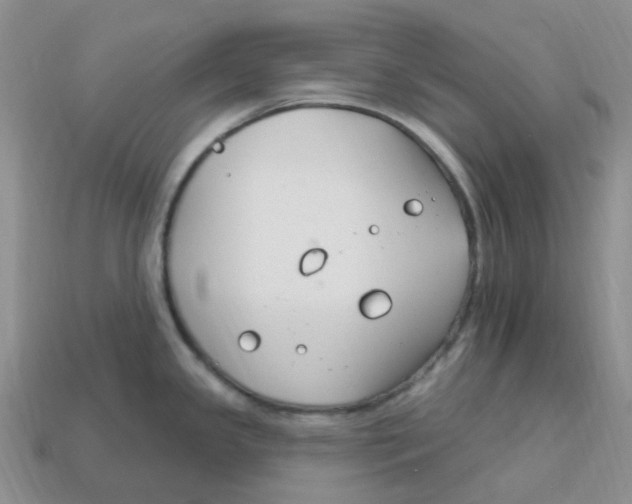 X0000113581341200910161532