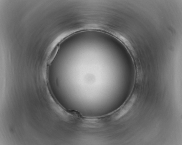 X0000113581342200910161532