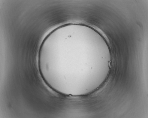 X0000113581343200910161532