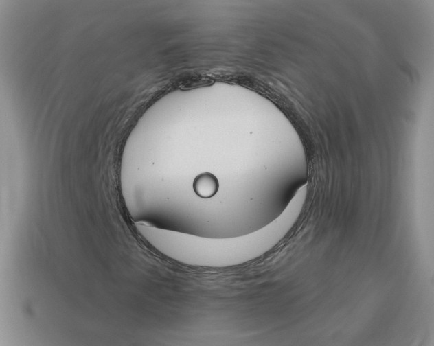 X0000113581345200910161531