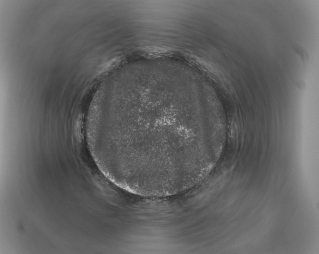 X0000113581346200910161531