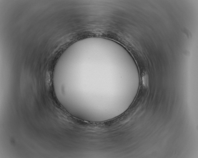 X0000113581347200910161531