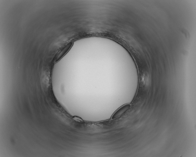 X0000113581348200910161531