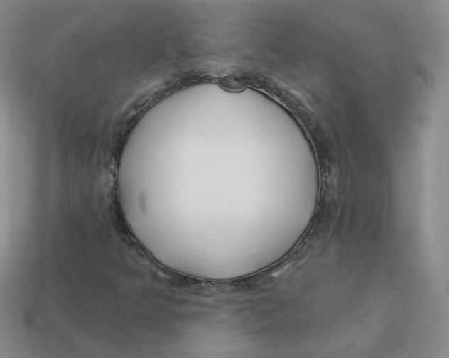 X0000113581349200910161531