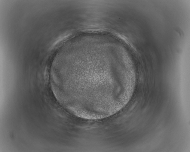 X0000113581350200910161531