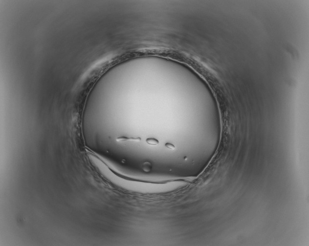 X0000113581351200910161531