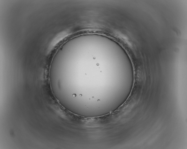 X0000113581352200910161531