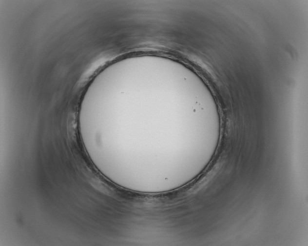 X0000113581355200910161531