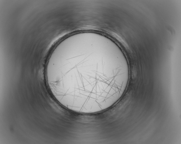 X0000113581356200910161531