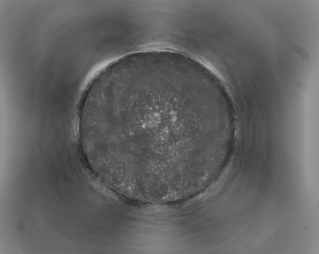 X0000113581358200910161531