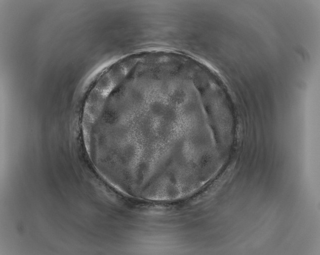 X0000113581359200910161531