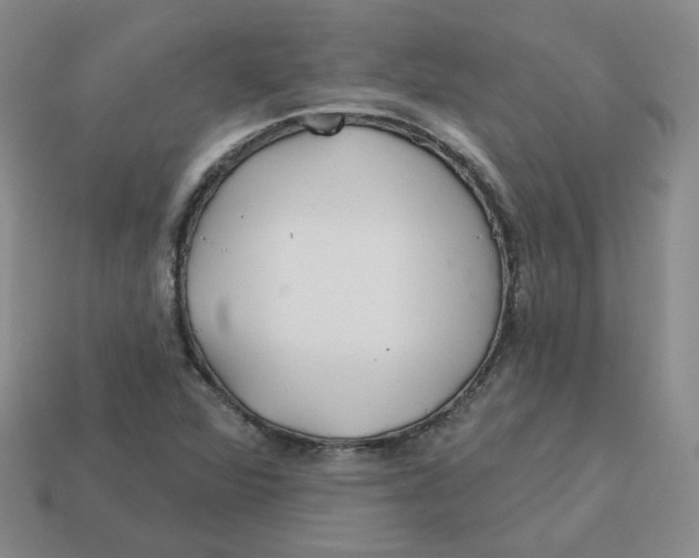 X0000113581360200910161531