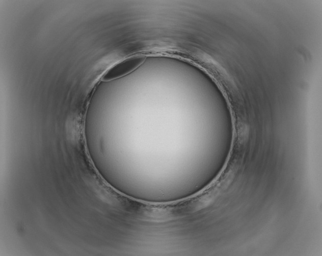 X0000113581361200910161531