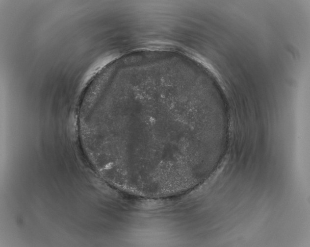 X0000113581362200910161531