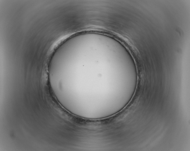 X0000113581363200910161531