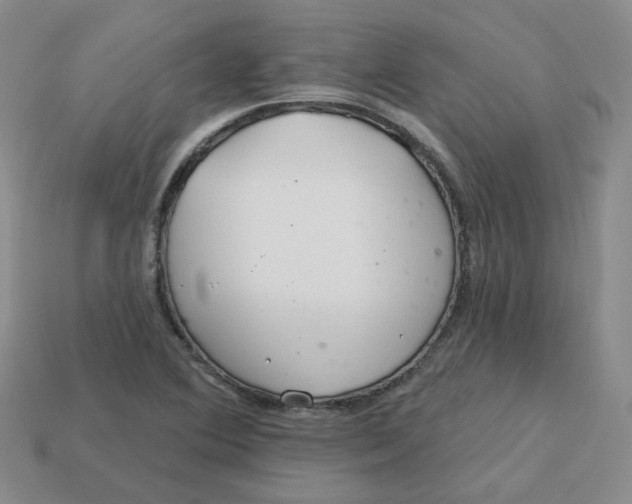 X0000113581364200910161531